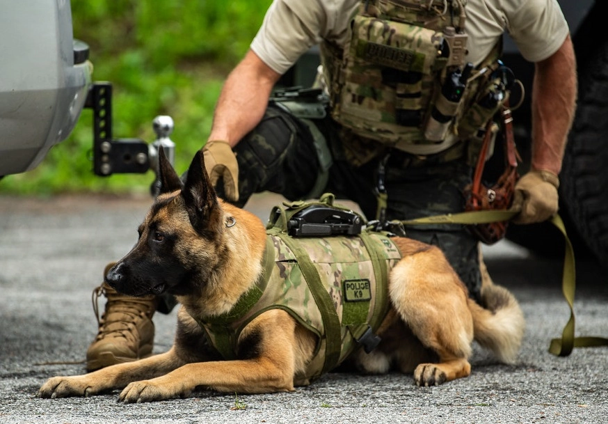 Tactical K-9, Rocky