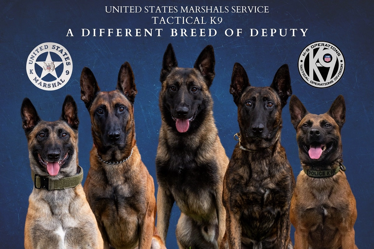US Marshals Service Tactical K9's
